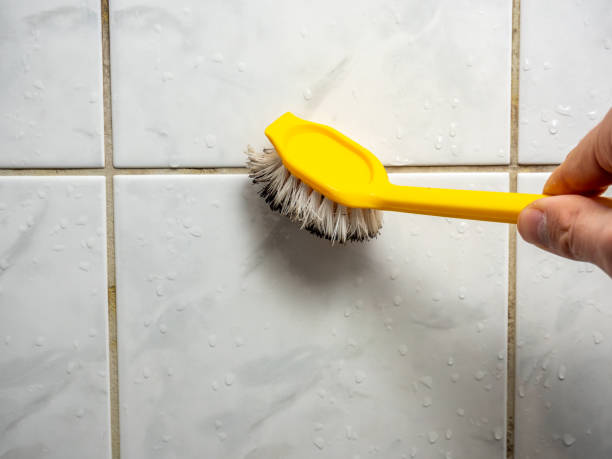 Best Affordable Mold Removal  in Clearlake Riviera, CA