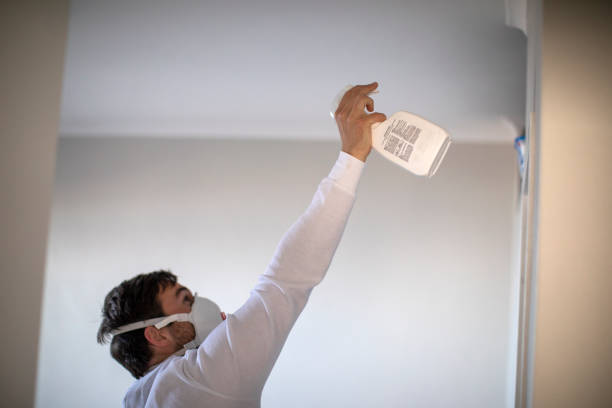 Best Fast Mold Removal  in Clearlake Riviera, CA