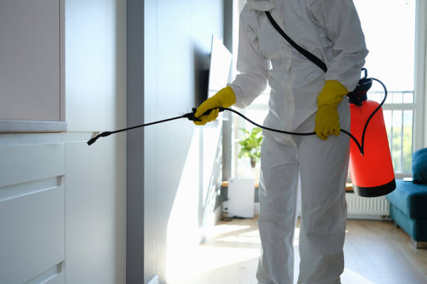 Best Commercial Mold Removal  in Clearlake Riviera, CA