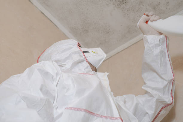 Best Mold Testing  in Clearlake Riviera, CA