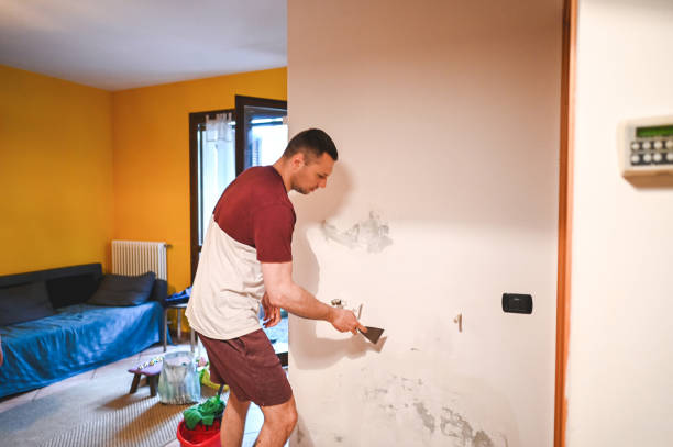 Best Mold Removal Company Near Me  in Clearlake Riviera, CA