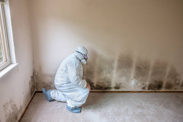 Best Mold Testing  in Clearlake Riviera, CA